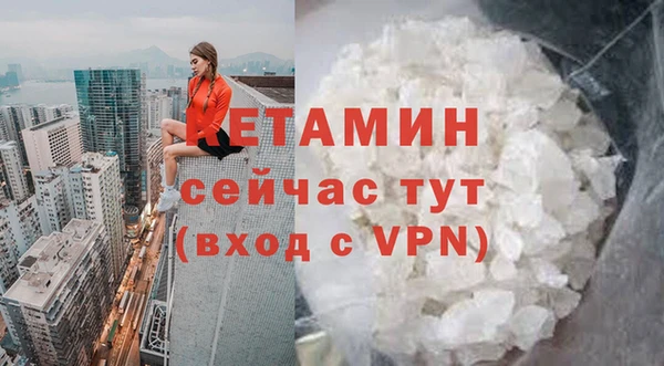 шишки Горнозаводск
