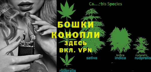 стафф Горняк