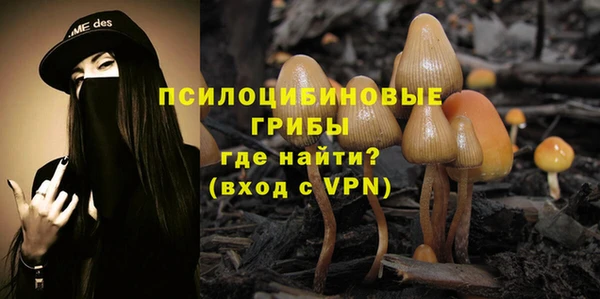 стафф Горняк
