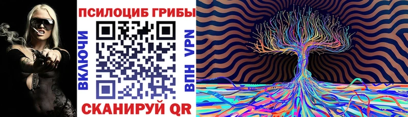 мега ссылка  Джанкой  Псилоцибиновые грибы мицелий  где купить  